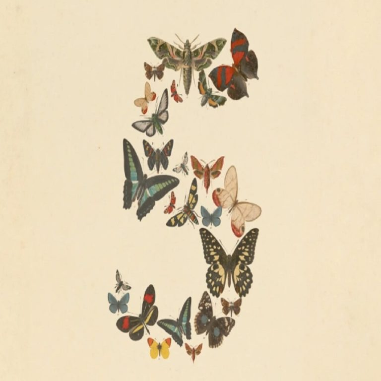 Claude Fable 5